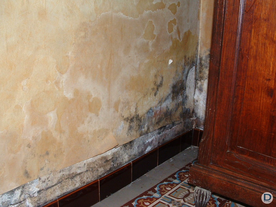 entreprise maitrise humidité ascensionnelle risque sante pièce intérieur liège brabant wallon